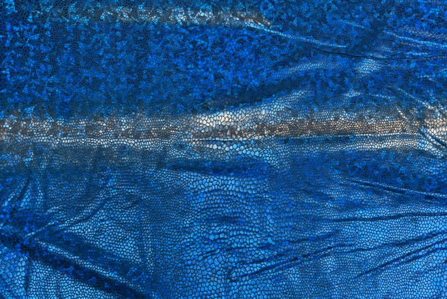 Royal Blue Holo Lycra