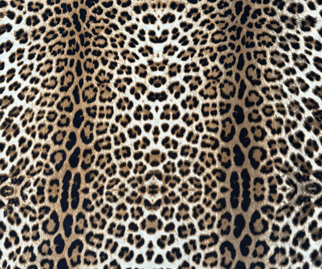 Leopard Lycra