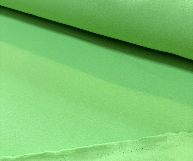 Pale Green Heavy Sweatshirt