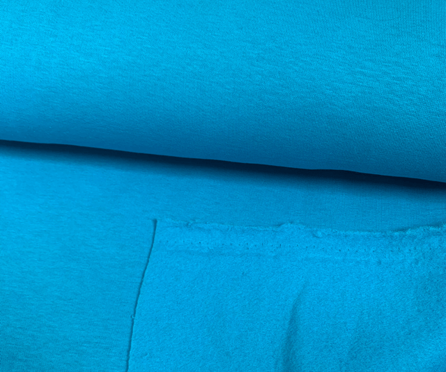 Turquoise Heavy Sweatshirt