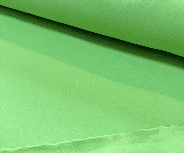 Pale Green Heavy Sweatshirt