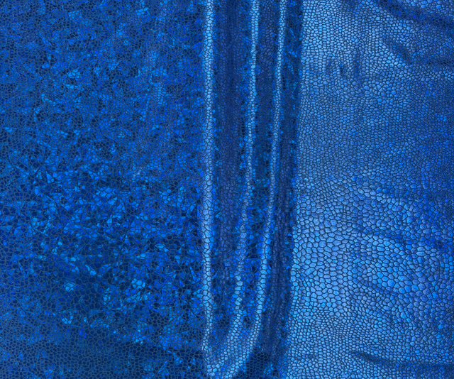 Royal Blue Holo Lycra